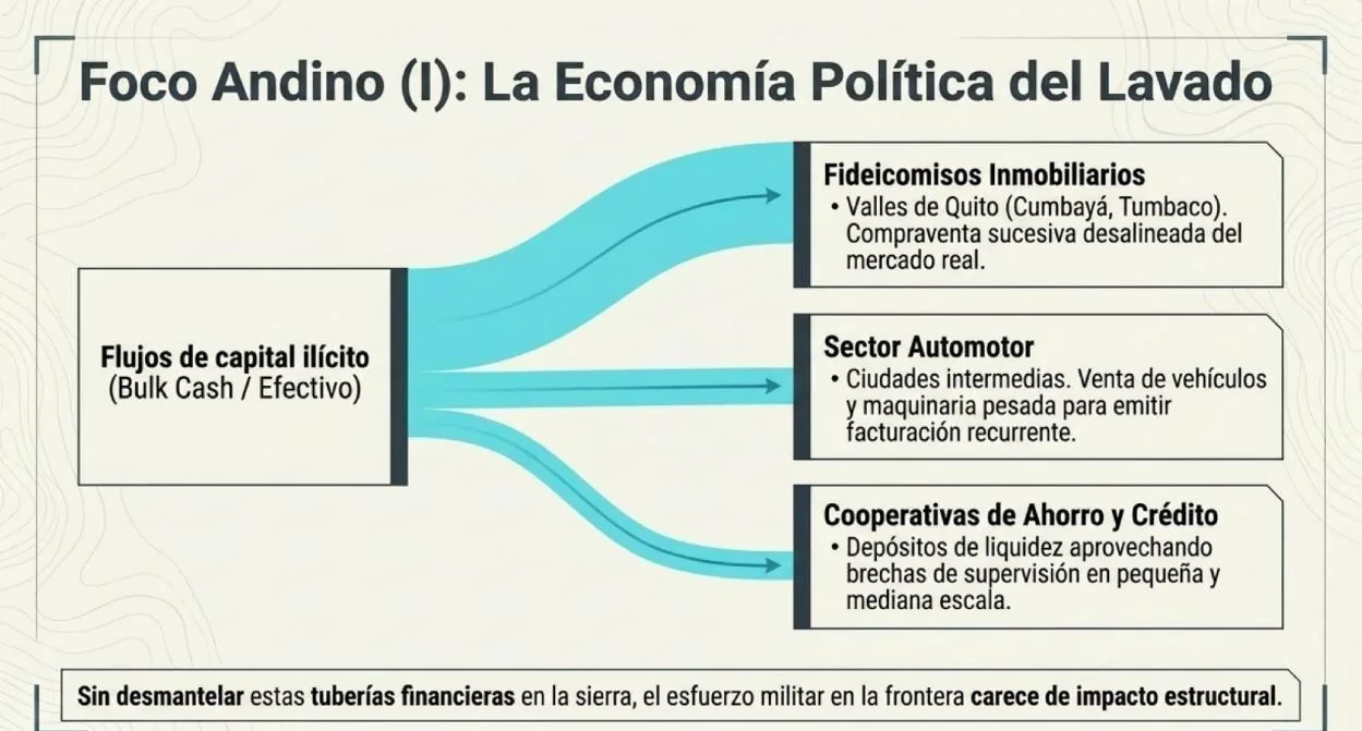 Infografía: foco andino (I). La economía política del lavado de activos a través de fideicomisos inmobiliarios, el sector automotor y cooperativas de ahorro.